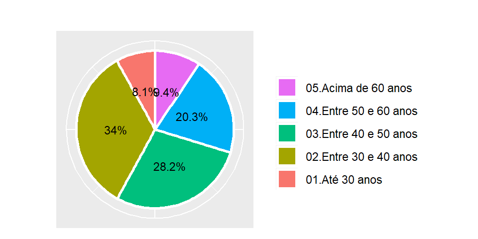 Gráfico de setores para faixa de idade dos docentes